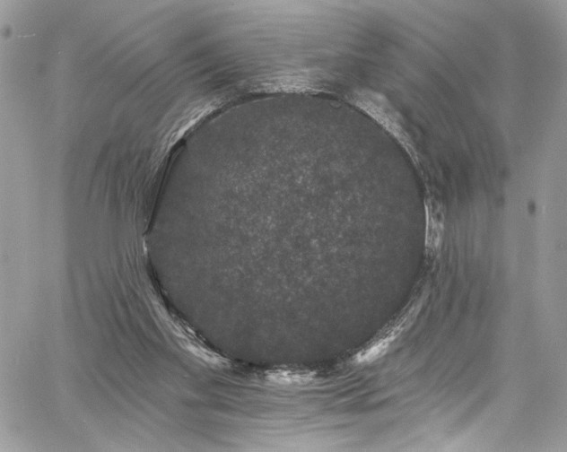 X0000060790109200511171318