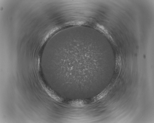 X0000060790110200511171318