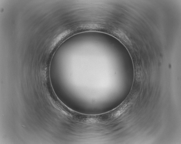 X0000060790111200511171318