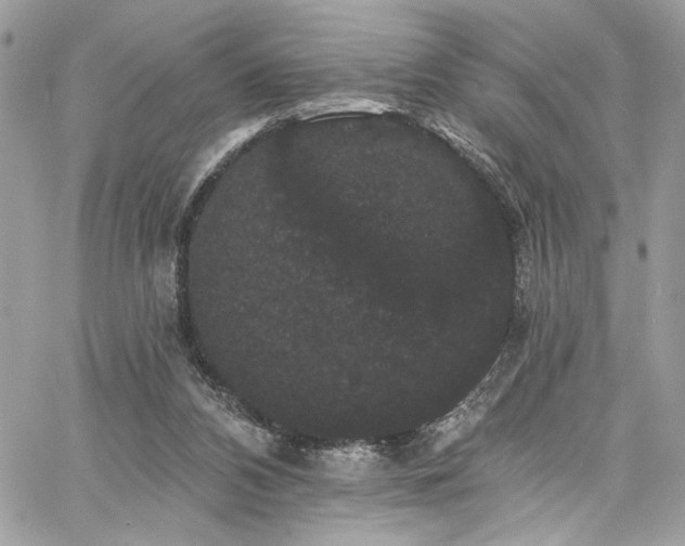 X0000060790112200511171318