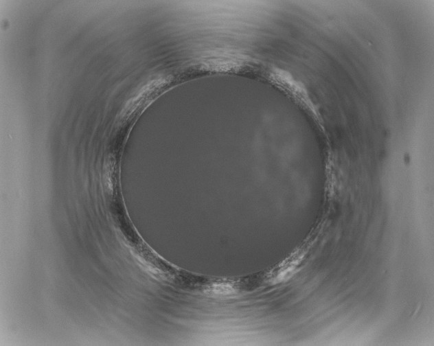 X0000060790114200511171318