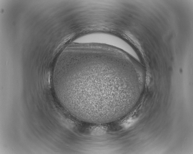 X0000060790115200511171318