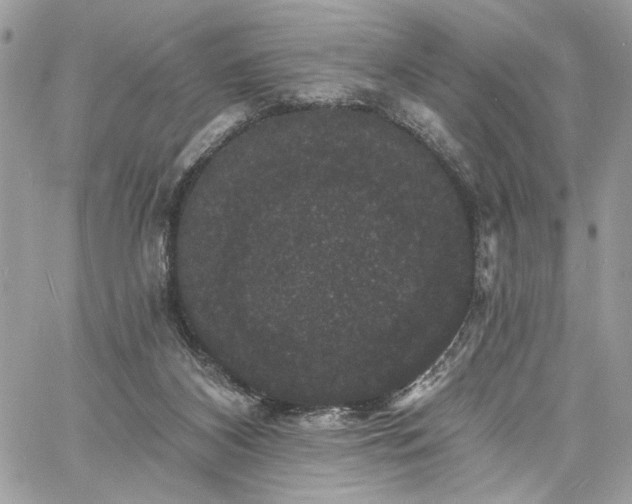 X0000060790116200511171318