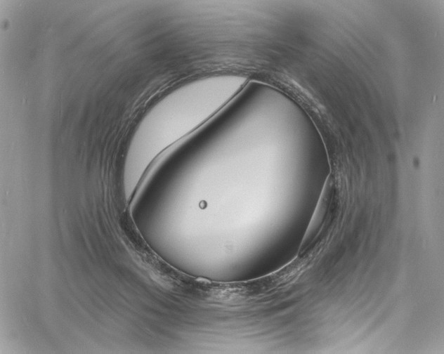 X0000060790117200511171318