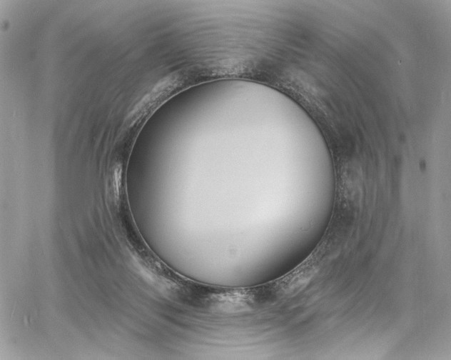 X0000060790118200511171318