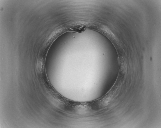 X0000060790119200511171318