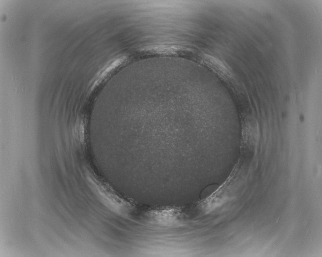 X0000060790120200511171318