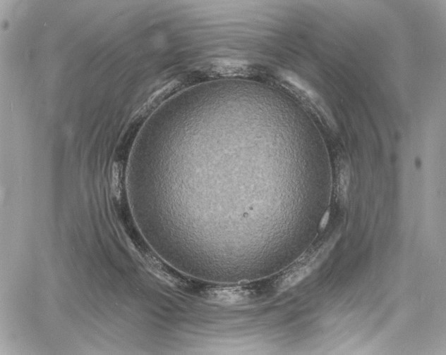 X0000060790121200511171318