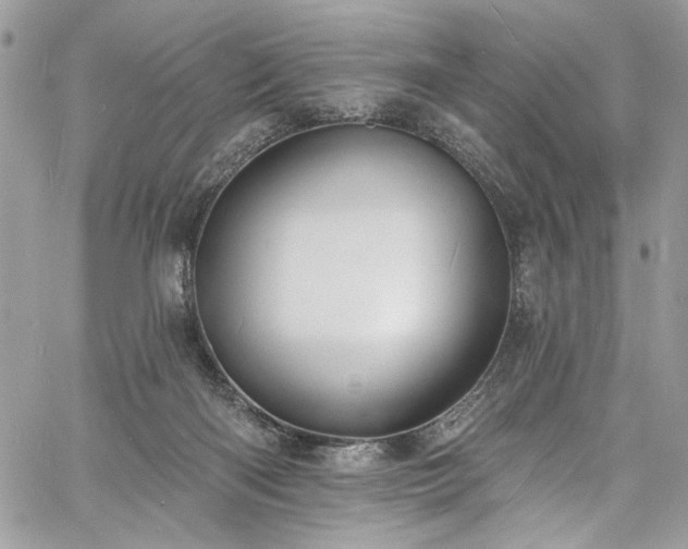 X0000060790122200511171318