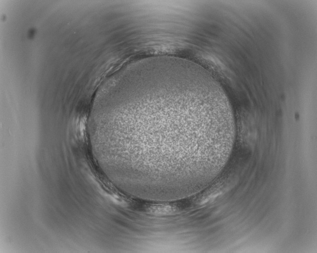 X0000060790123200511171318