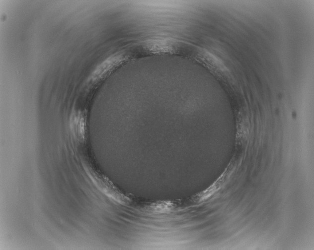 X0000060790124200511171318