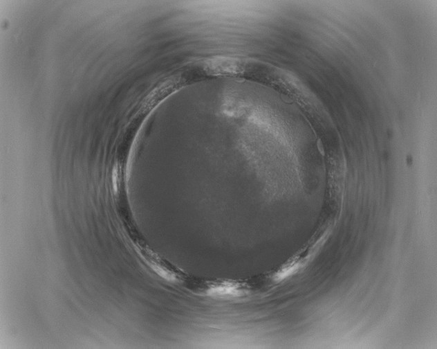 X0000060790125200511171318