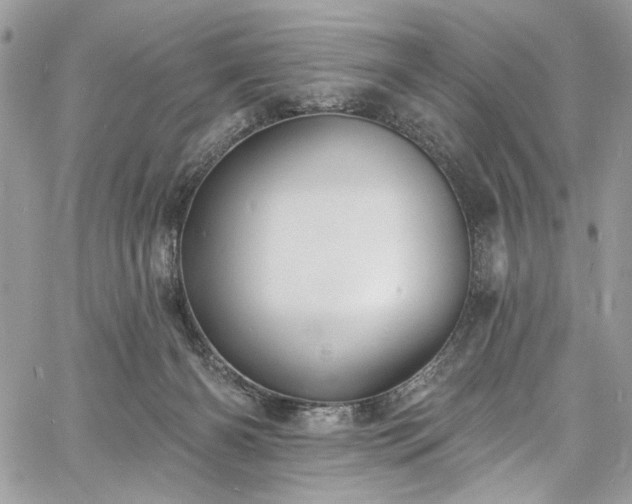 X0000060790126200511171318