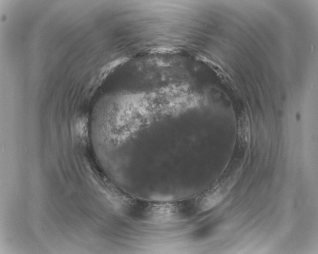 X0000060790127200511171318