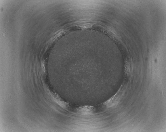 X0000060790128200511171318