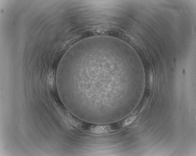 X0000060790129200511171318