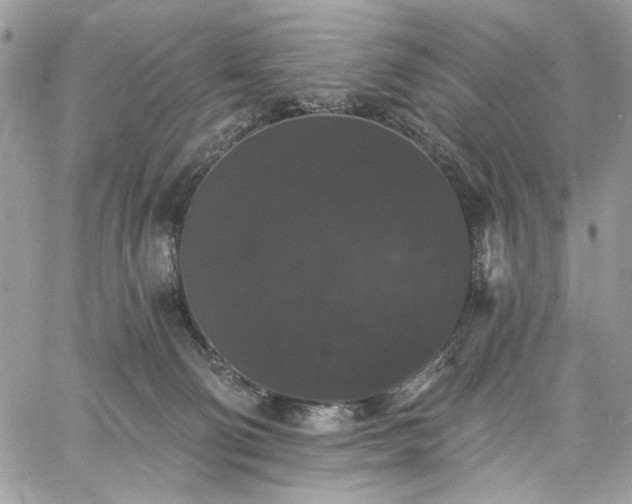 X0000060790130200511171318