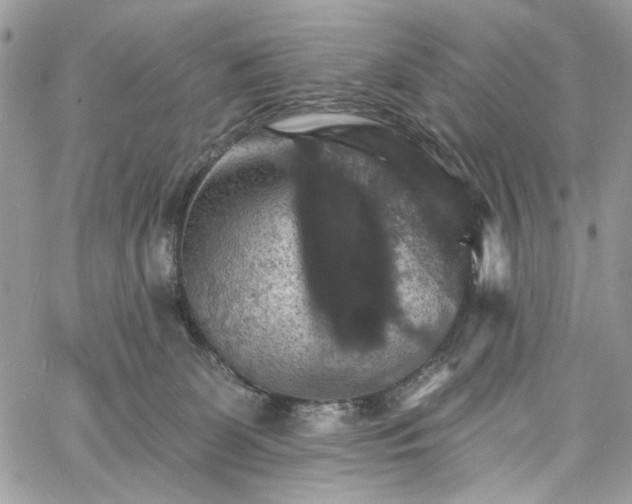 X0000060790131200511171318