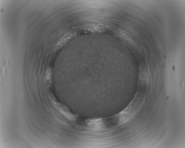 X0000060790132200511171318