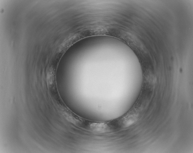 X0000060790133200511171318