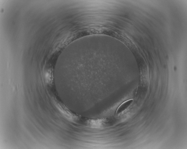 X0000060790134200511171318