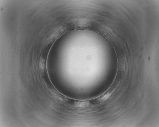 X0000060790135200511171318