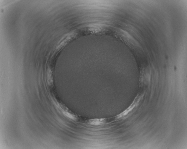 X0000060790136200511171318