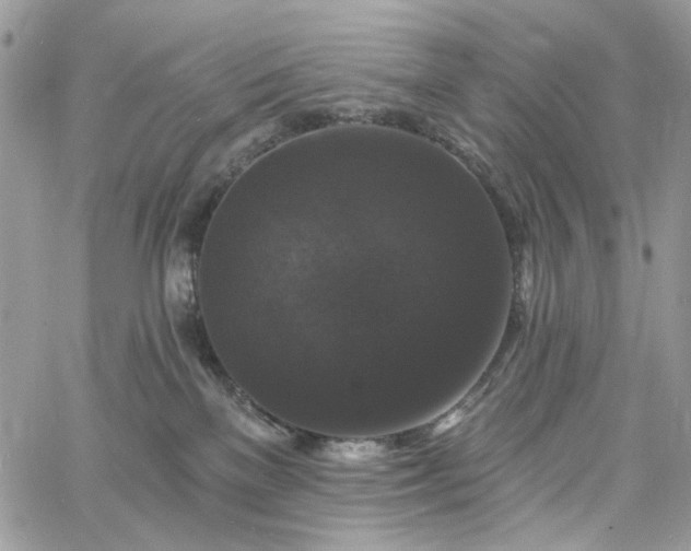 X0000060790137200511171318