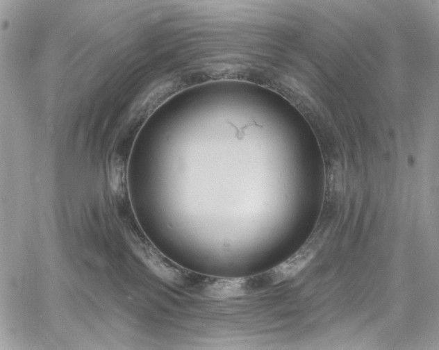 X0000060790138200511171318