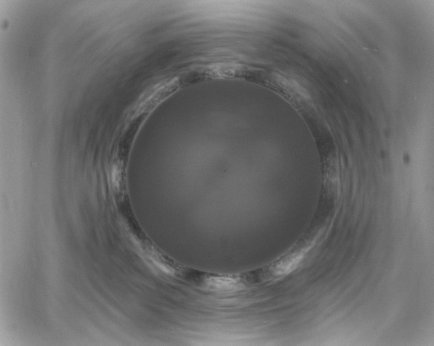 X0000060790139200511171318