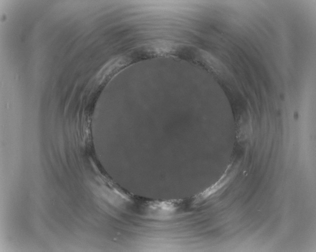 X0000060790140200511171318