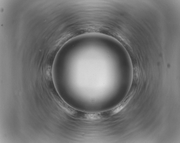 X0000060790141200511171318