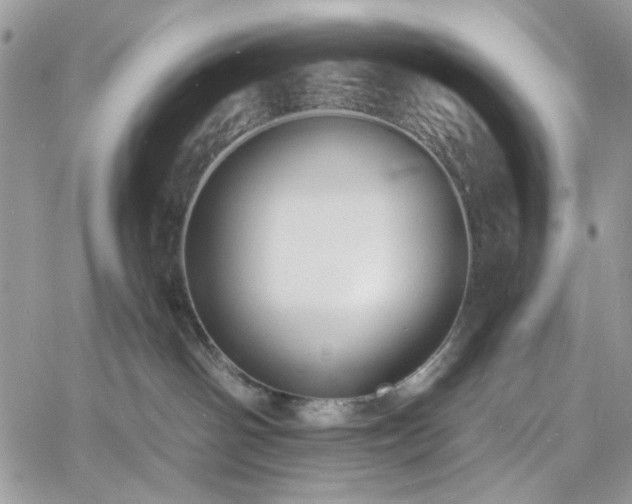 X0000060790142200511171318