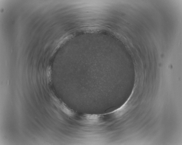 X0000060790144200511171318