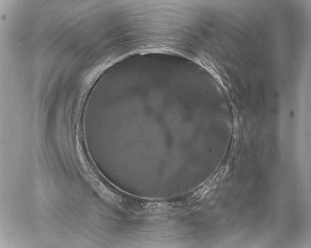 X0000060790145200511171317