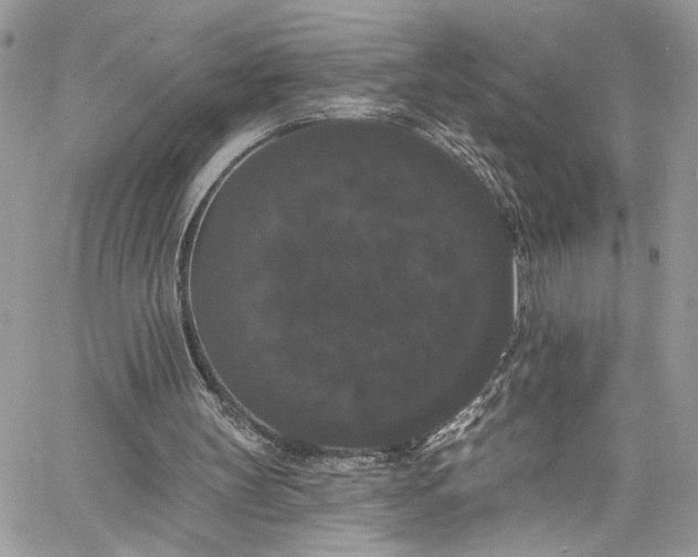 X0000060790147200511171317