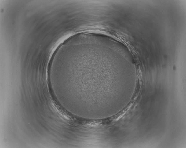 X0000060790148200511171317