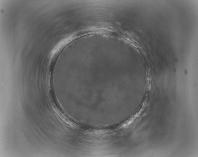 X0000060790149200511171317