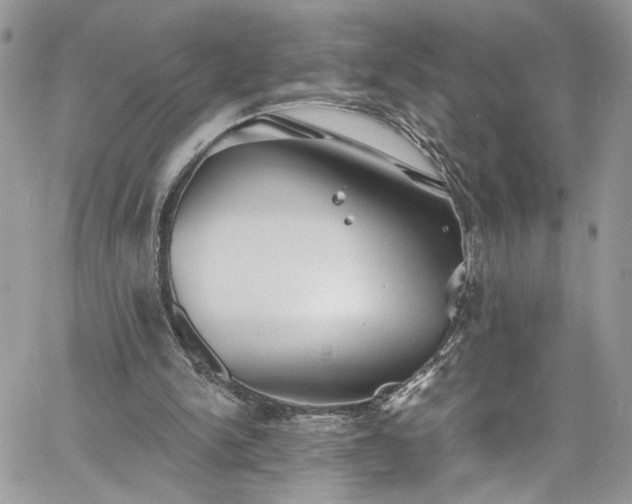 X0000060790150200511171317