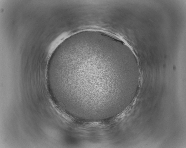 X0000060790151200511171317