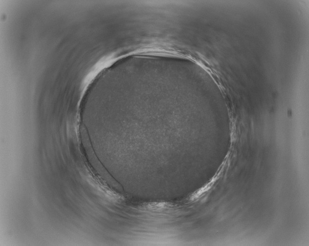 X0000060790152200511171317