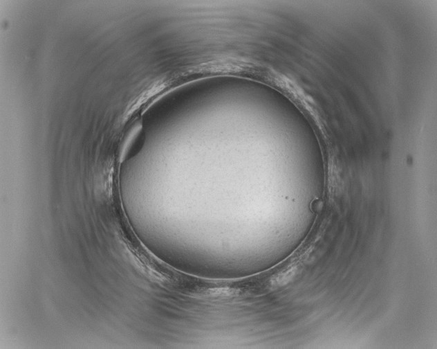 X0000060790153200511171317