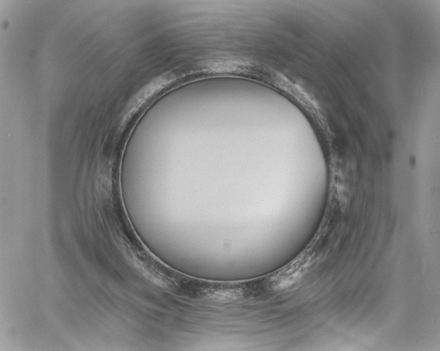 X0000060790155200511171317