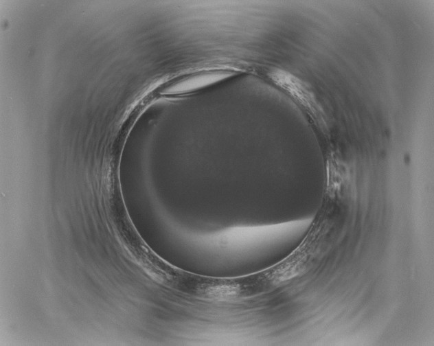 X0000060790156200511171317