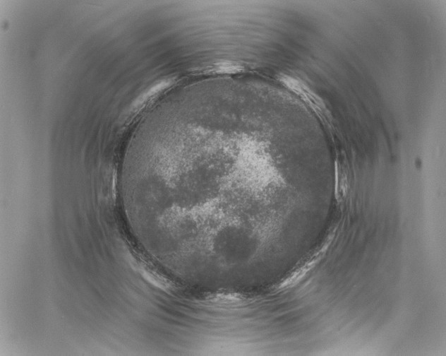 X0000060790157200511171317