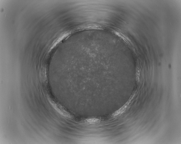 X0000060790158200511171317