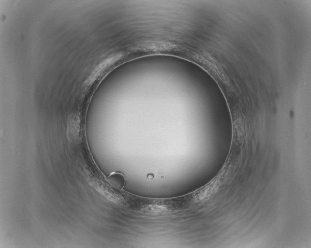 X0000060790159200511171317