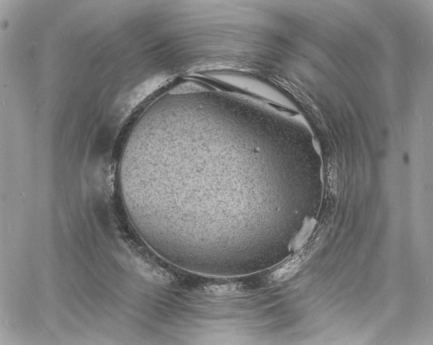 X0000060790160200511171317