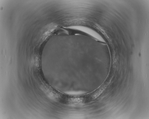 X0000060790161200511171317