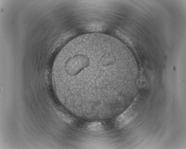 X0000060790162200511171317